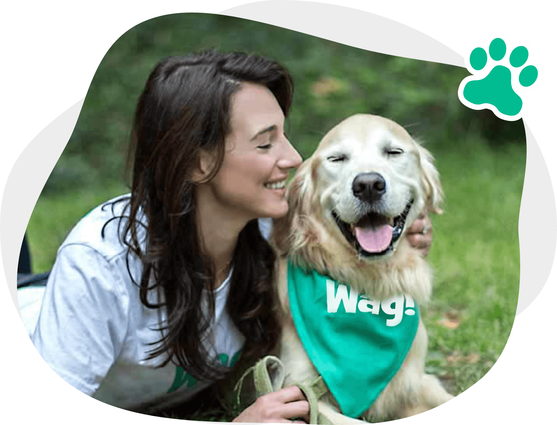 Wag! Photo Banner